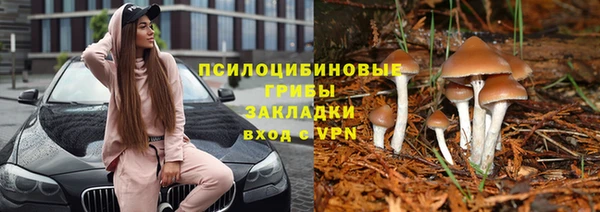 jwh Аркадак